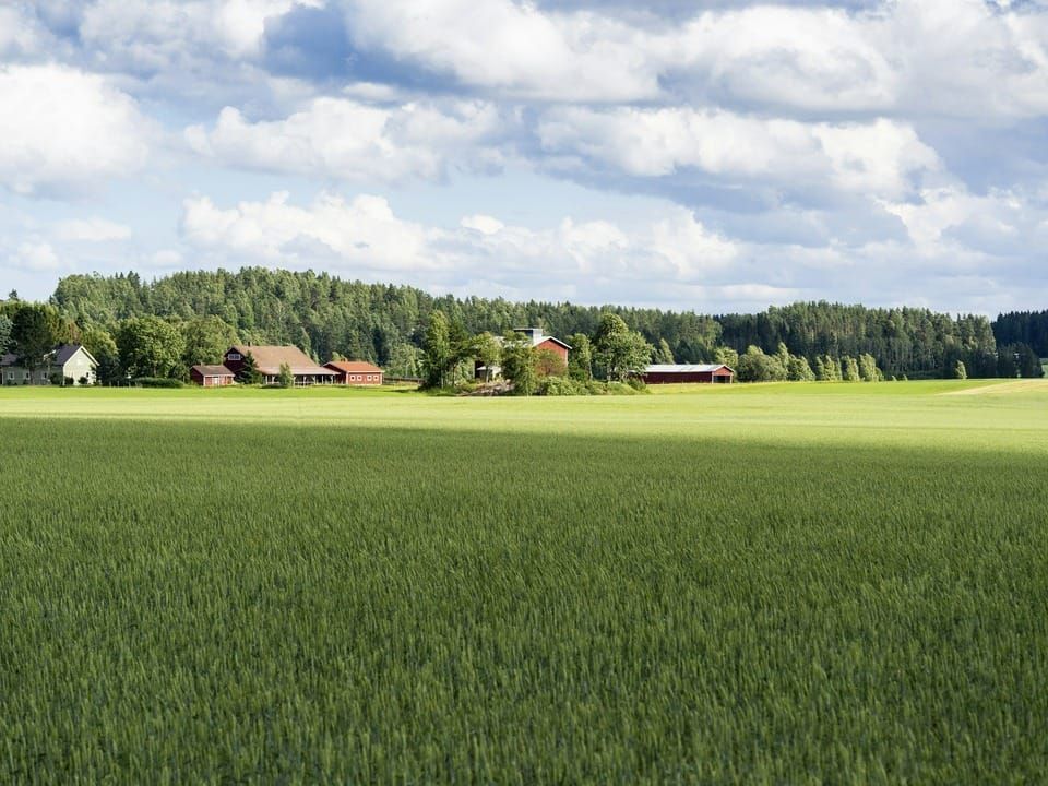 A green field under a cloudy sky
